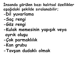 KALITIM by GÖKÇE - Illustrated by Gökçe - Ourboox.com