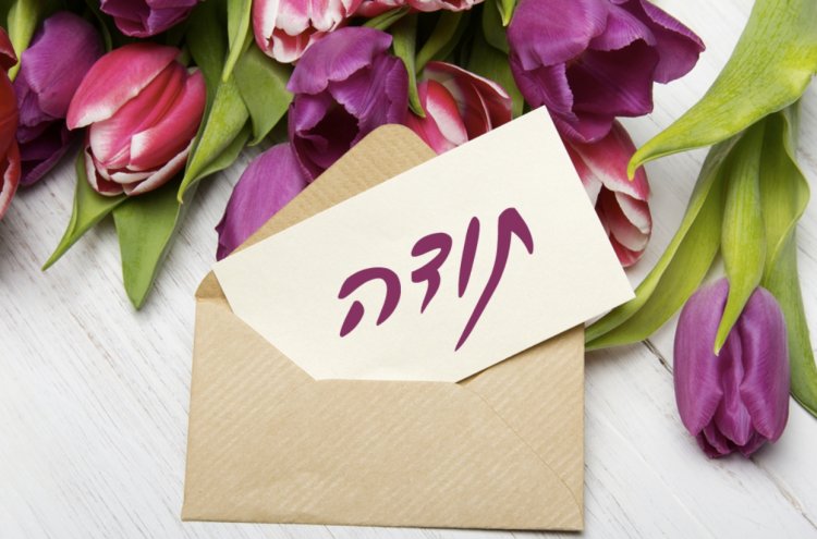 תעסוקון לפורש by תעסוקון לפורש - Illustrated by חסין אוריה, מדר לורן, קדוש נטלי וקדושים עדן. - Ourboox.com