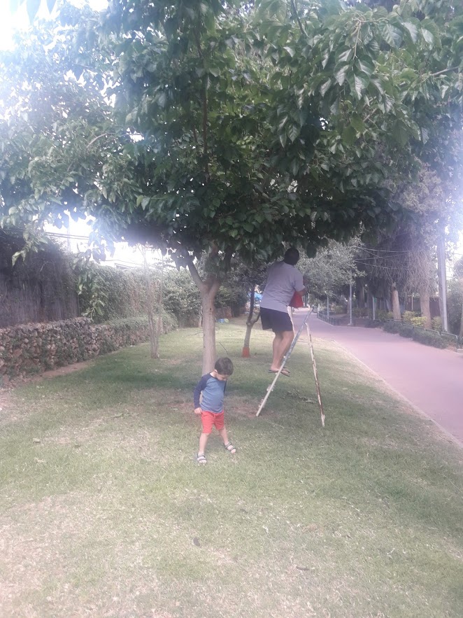 סיפורים ליהונתן by sima - Ourboox.com