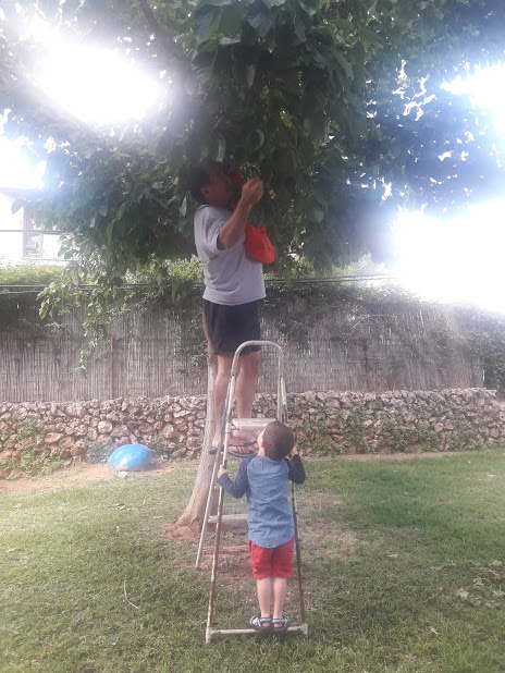 סיפורים ליהונתן by sima - Ourboox.com