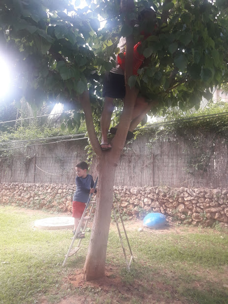 סיפורים ליהונתן by sima - Ourboox.com