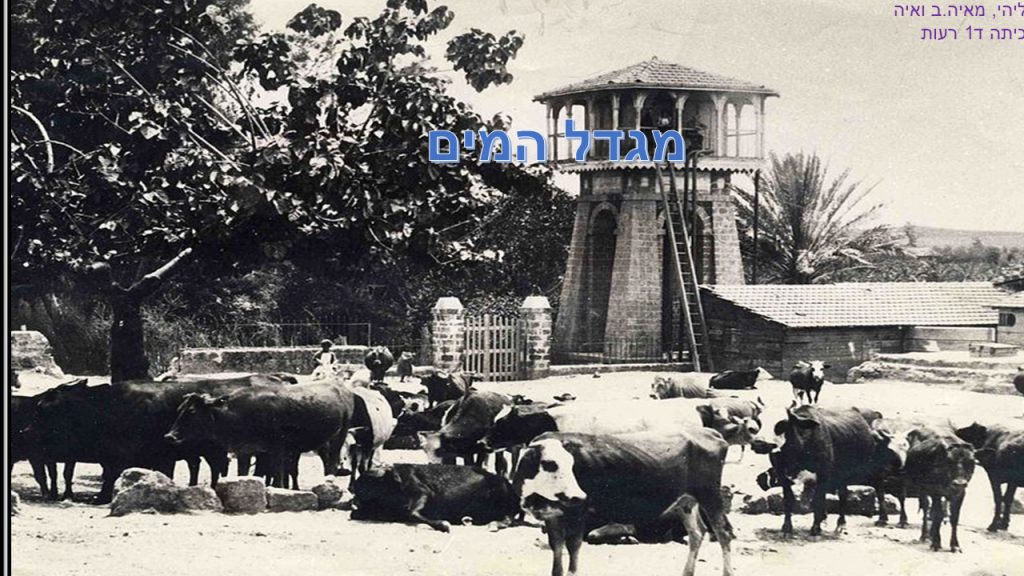 מגדל המים- ליהי מאיה ב ואיה ד1 by reut - Ourboox.com
