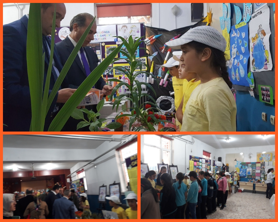 PROJE SERGİLERİ by ZELİHA - Ourboox.com