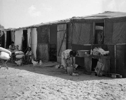 העשור הראשון- המעברות-שחר וענבר by yosefa - Ourboox.com