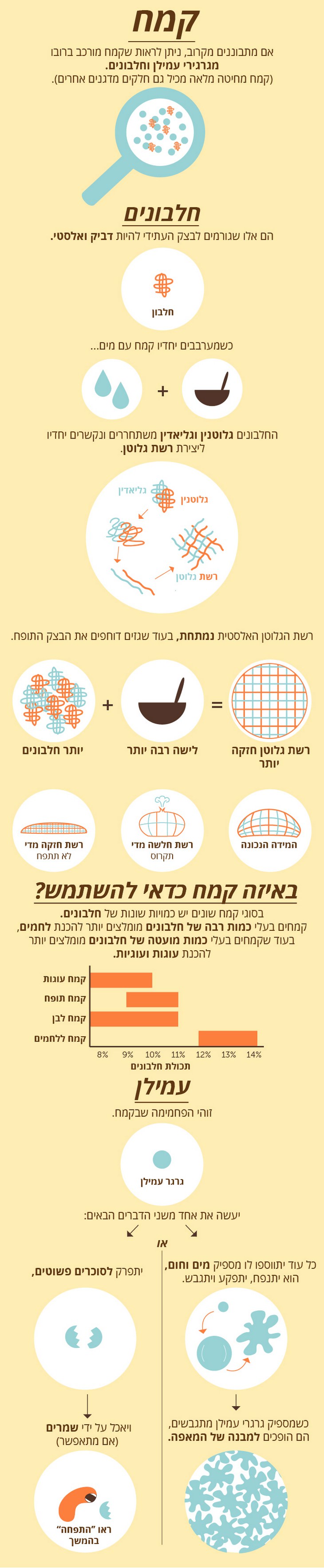 המדע שמאחרי האפייה by moshe ben tovim - Ourboox.com