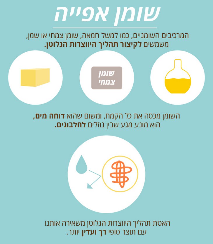 המדע שמאחרי האפייה by moshe ben tovim - Ourboox.com