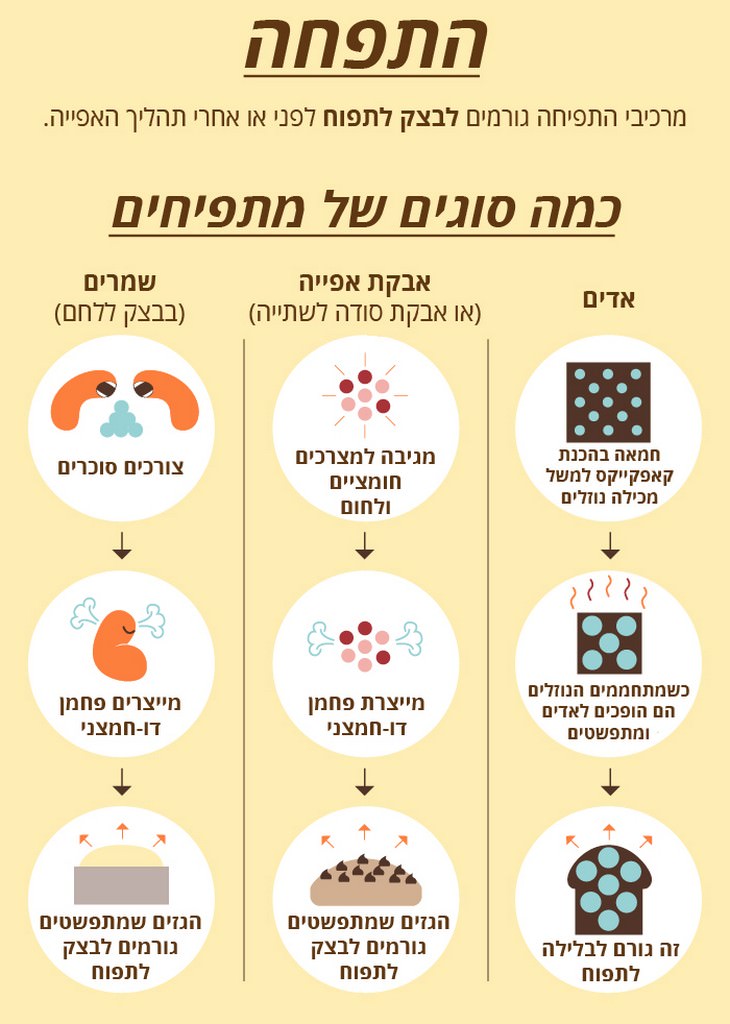 המדע שמאחרי האפייה by moshe ben tovim - Ourboox.com