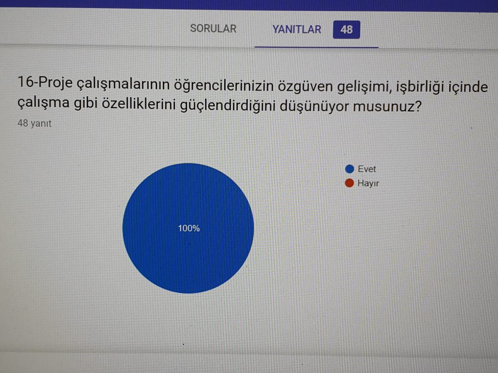 ÖĞRETMEN ANKETİ VERİLERİ by gulizi - Illustrated by ATATÜRK ÇOCUKLARI - Ourboox.com