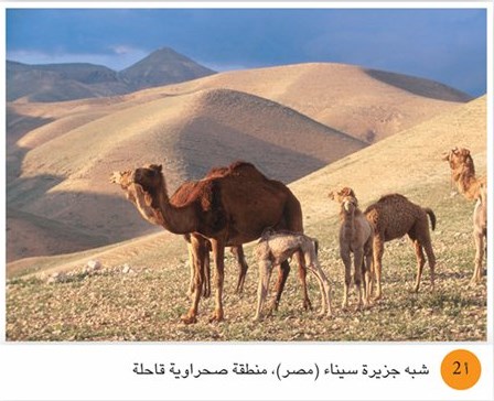 المناطق قليله السكان by Yaren atef naser - Ourboox.com