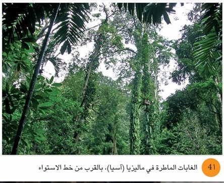 المناطق قليله السكان by Yaren atef naser - Ourboox.com