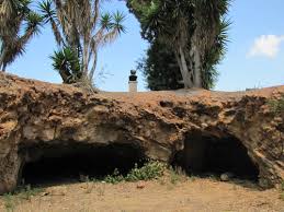 מקווה ישראל – סיור ישראלי by Samuel Shakuf - Illustrated by מתבסס על מידע מפרסומי מרכז המבקרים במקווה ישראל - Ourboox.com