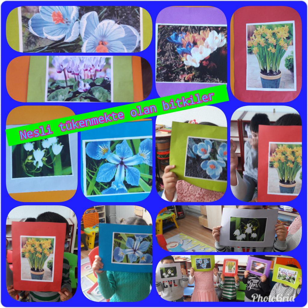 MİNİK ELLER BÜYÜK İŞLER PROJESİ ETKİNLİKLERİ by NEVİM YILDIRIM SARITEPE - Ourboox.com