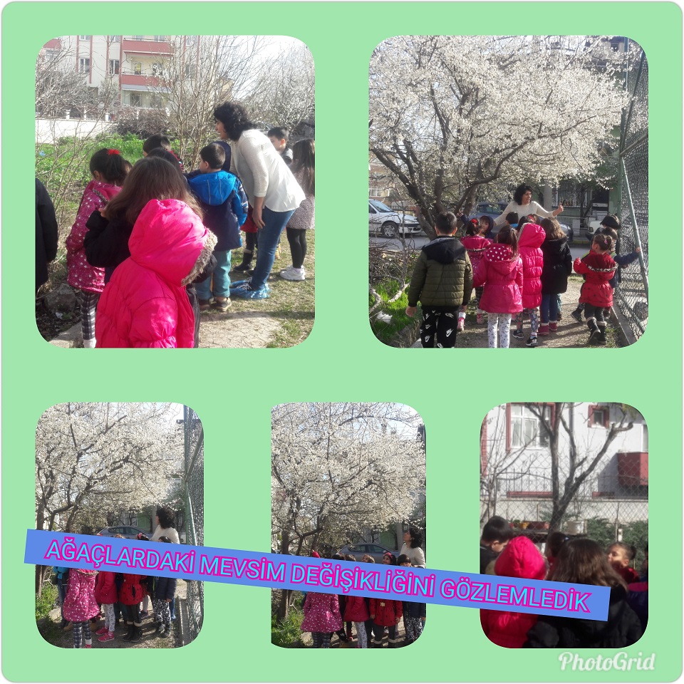 MİNİK ELLER BÜYÜK İŞLER PROJESİ ETKİNLİKLERİ by NEVİM YILDIRIM SARITEPE - Ourboox.com