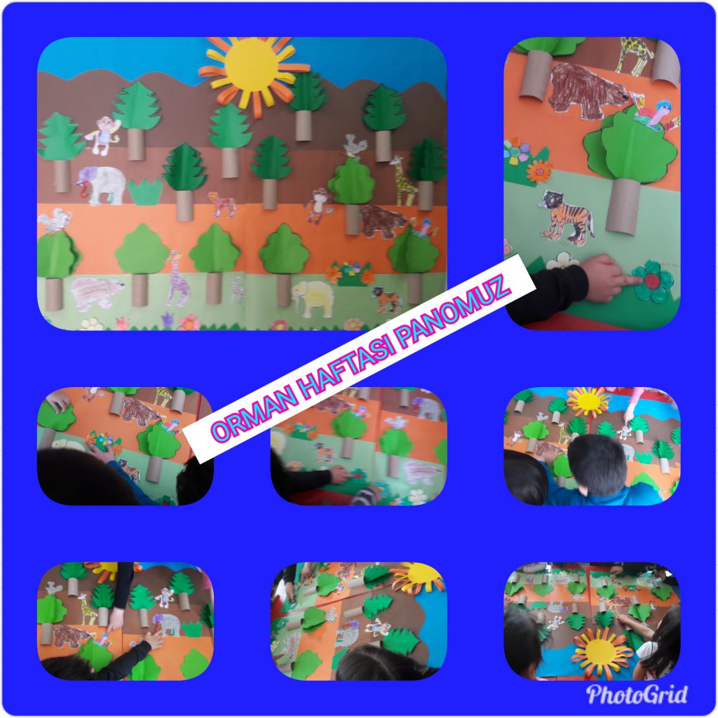 MİNİK ELLER BÜYÜK İŞLER PROJESİ ETKİNLİKLERİ by NEVİM YILDIRIM SARITEPE - Ourboox.com