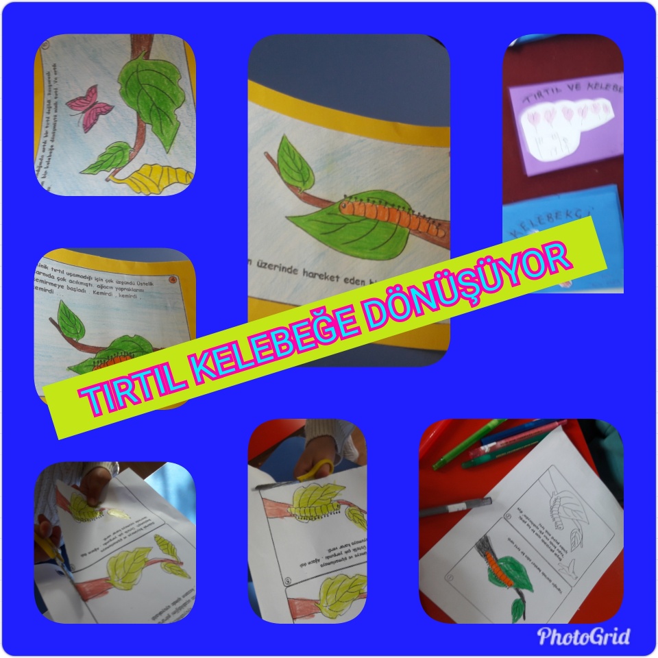 MİNİK ELLER BÜYÜK İŞLER PROJESİ ETKİNLİKLERİ by NEVİM YILDIRIM SARITEPE - Ourboox.com