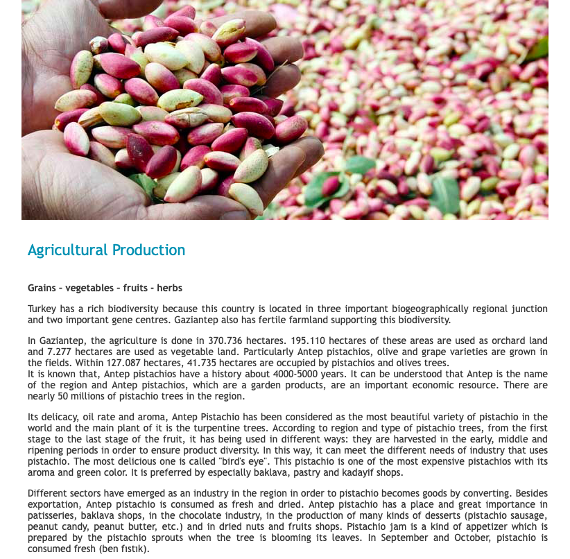 GASTROANTEP by Efsaneci - Ourboox.com