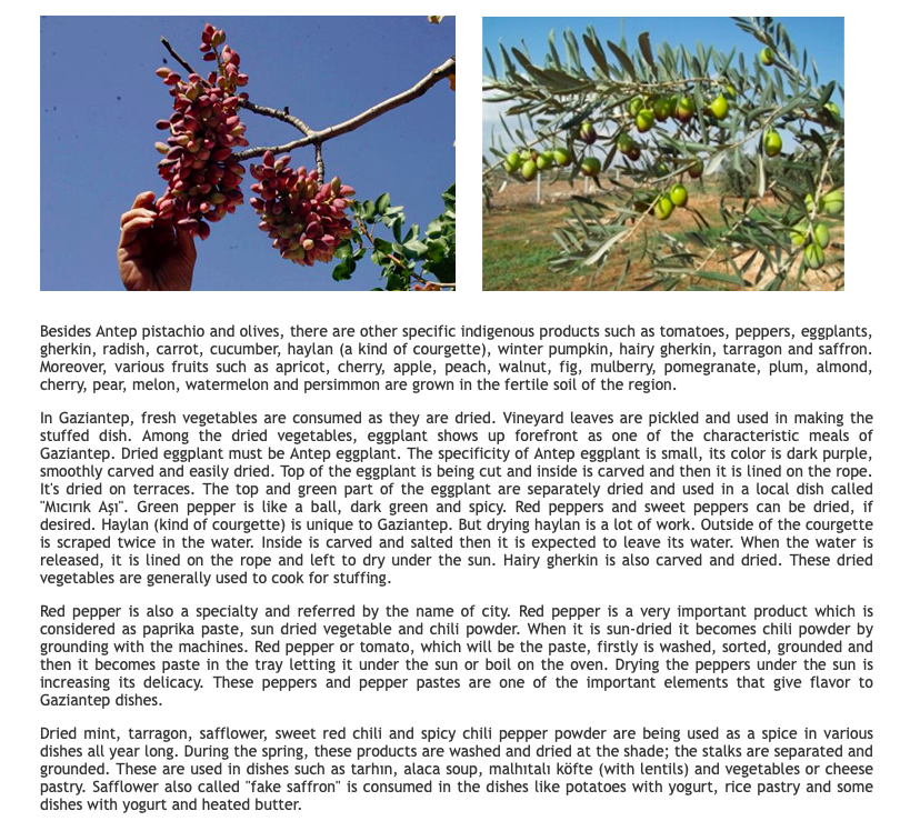 GASTROANTEP by Efsaneci - Ourboox.com