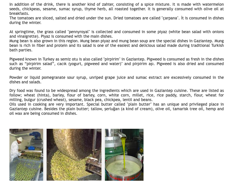 GASTROANTEP by Efsaneci - Ourboox.com