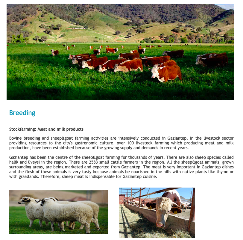 GASTROANTEP by Efsaneci - Ourboox.com