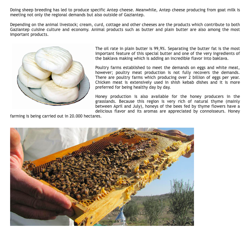 GASTROANTEP by Efsaneci - Ourboox.com