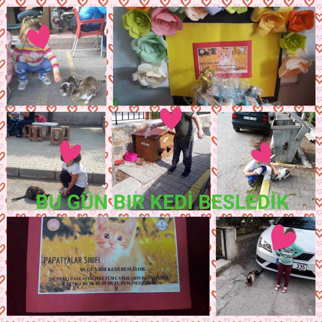 PLEVNE İLKOKULU MONTESSORİ İLE GÜNLÜK YAŞAM BECERİLERİ ETKİNLİKLERİ by NEVİM YILDIRIM SARITEPE - Ourboox.com