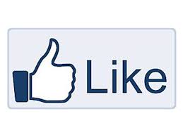 תובנות ממיזם ויקיפדיה by shlomit zilbernagel - Illustrated by מיי מילר ושלומית זילברנגל 2019 - Ourboox.com