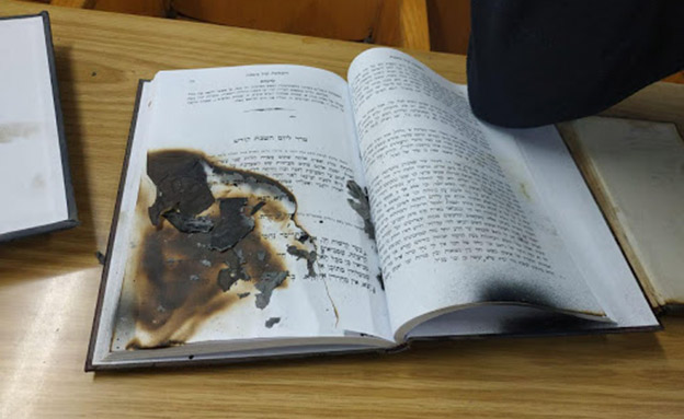 תובנות ממיזם ויקיפדיה by shlomit zilbernagel - Illustrated by מיי מילר ושלומית זילברנגל 2019 - Ourboox.com