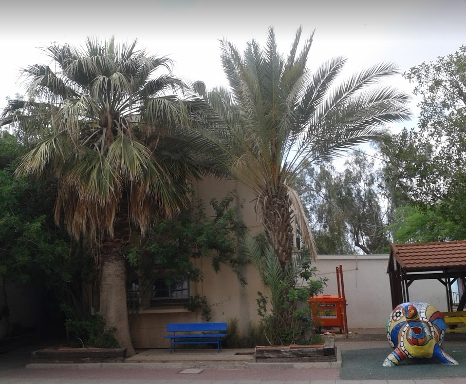 בחצר בית הספר – התבוננות וחקירה by Naomi Cohen - Ourboox.com