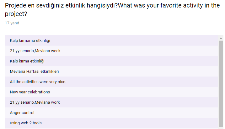 PROJECT EXECUTIVES SURVEY/PROJE YÜRÜTÜCÜLERİ ANKETİ by tgbdyrc - Ourboox.com