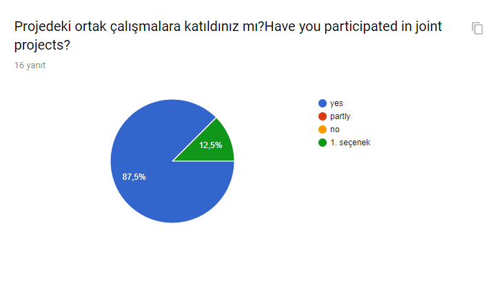 PROJECT EXECUTIVES SURVEY/PROJE YÜRÜTÜCÜLERİ ANKETİ by tgbdyrc - Ourboox.com