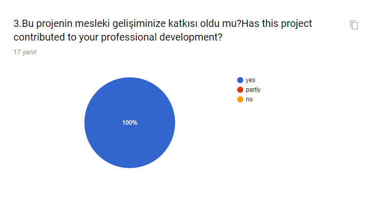 PROJECT EXECUTIVES SURVEY/PROJE YÜRÜTÜCÜLERİ ANKETİ by tgbdyrc - Ourboox.com