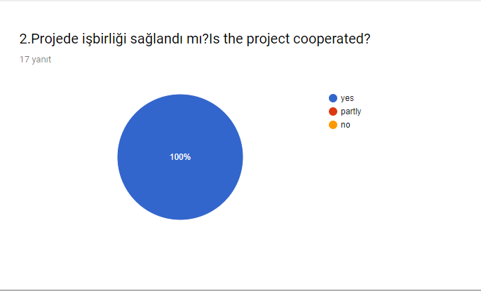 PROJECT EXECUTIVES SURVEY/PROJE YÜRÜTÜCÜLERİ ANKETİ by tgbdyrc - Ourboox.com
