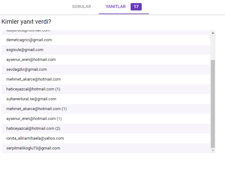 PROJECT EXECUTIVES SURVEY/PROJE YÜRÜTÜCÜLERİ ANKETİ by tgbdyrc - Ourboox.com