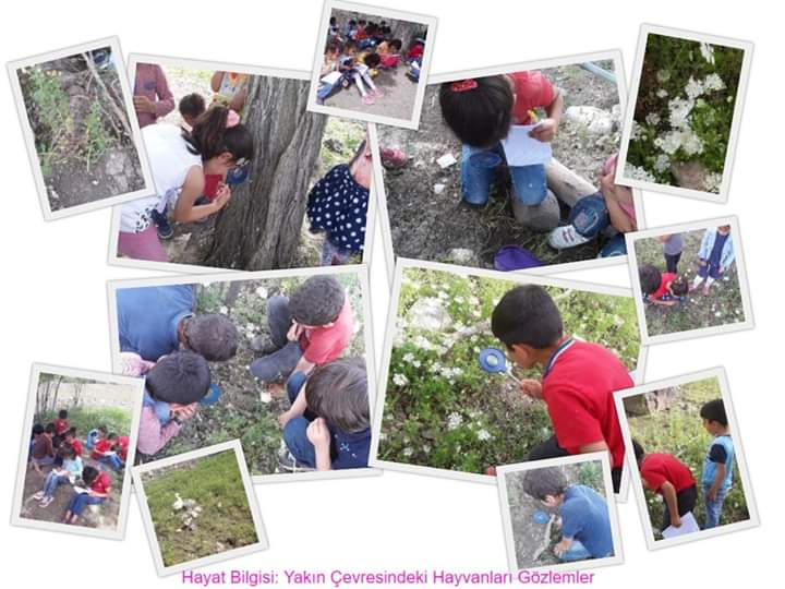 EĞLENEREK İNGİLİZCE ÖĞRENİYORUM by Meryem - Illustrated by Nevzat CAN Diyarbakır Yenişehir Güzel İlkokulu Okul Tanıtımı Meryem GÜLER Viranşehir İmam Ebu Hanife İHO Yağmur DEMİRTAŞ Viranşehir İMKB İlkokulu Nahide Elçin Yıldız Hanife Şefik Celep İlkokulu Kübra OĞUZ KIRLIK İMAM HATİP ORTAOKULU - Ourboox.com