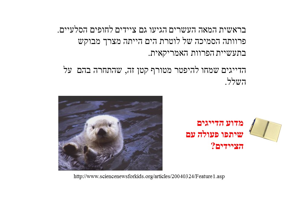 שרשרת המזון- אצות הקלפ by helena - Ourboox.com