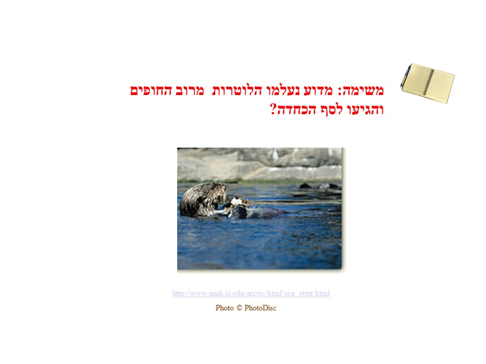 שרשרת המזון- אצות הקלפ by helena - Ourboox.com