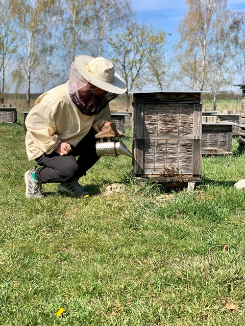 insects in our school gardens ebook by nadire - Ourboox.com