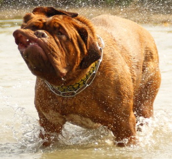 Kiran’s poetry book by Kiran N. - Illustrated by Kiran N. - Ourboox.com