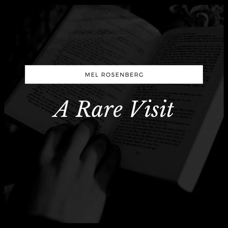 A Rare Visit by Mel Rosenberg - מל רוזנברג - Ourboox.com