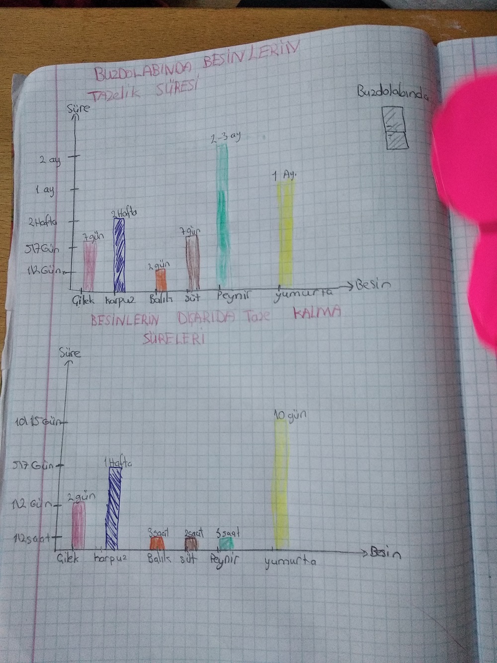 STEM KULÜBÜNDEN STEM FESTİVALİNE by sultan yıldız - Ourboox.com