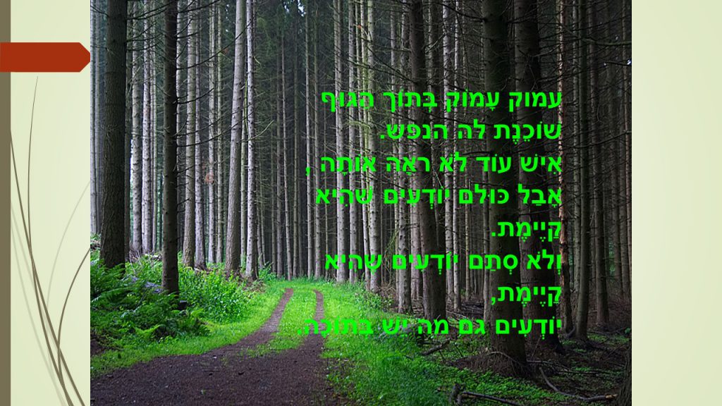 ציפור הנפש שלי by judy - Ourboox.com