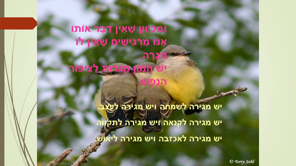 ציפור הנפש שלי by judy - Ourboox.com