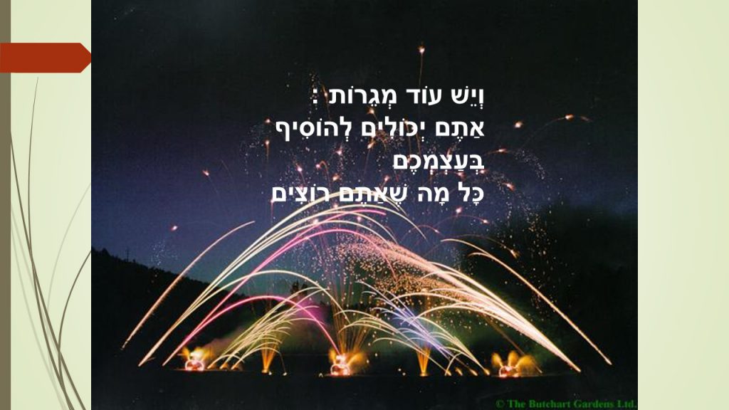 ציפור הנפש שלי by judy - Ourboox.com