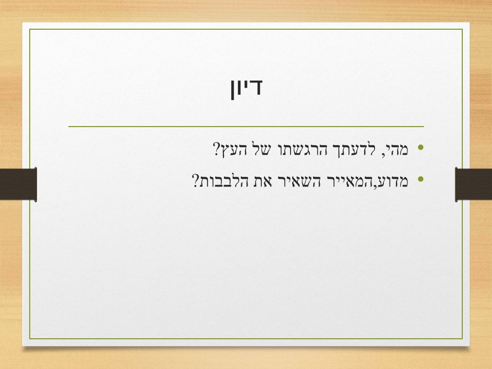 פעילות בעקבות האיורים by judy - Ourboox.com