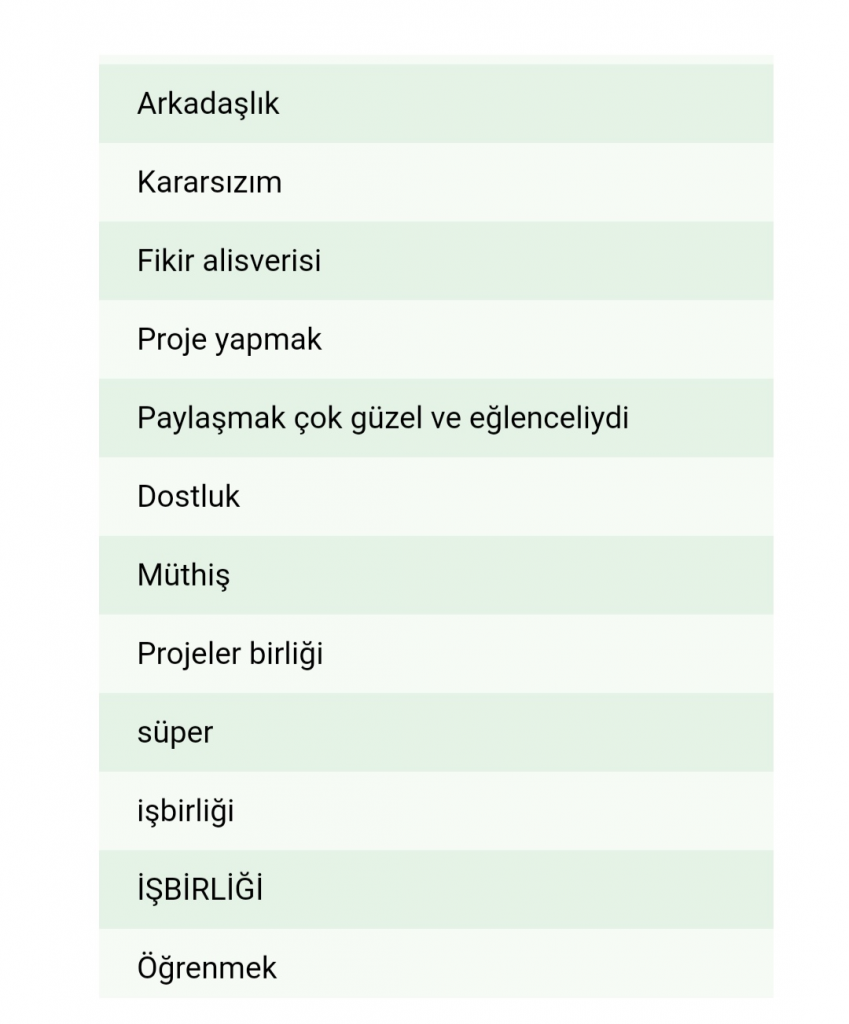 Öğrenci Proje Değerlendirmesi Anket Sonuçları by Arzu YILMAZ YETİMOĞLU - Illustrated by Benim Okul Bahçem - Ourboox.com