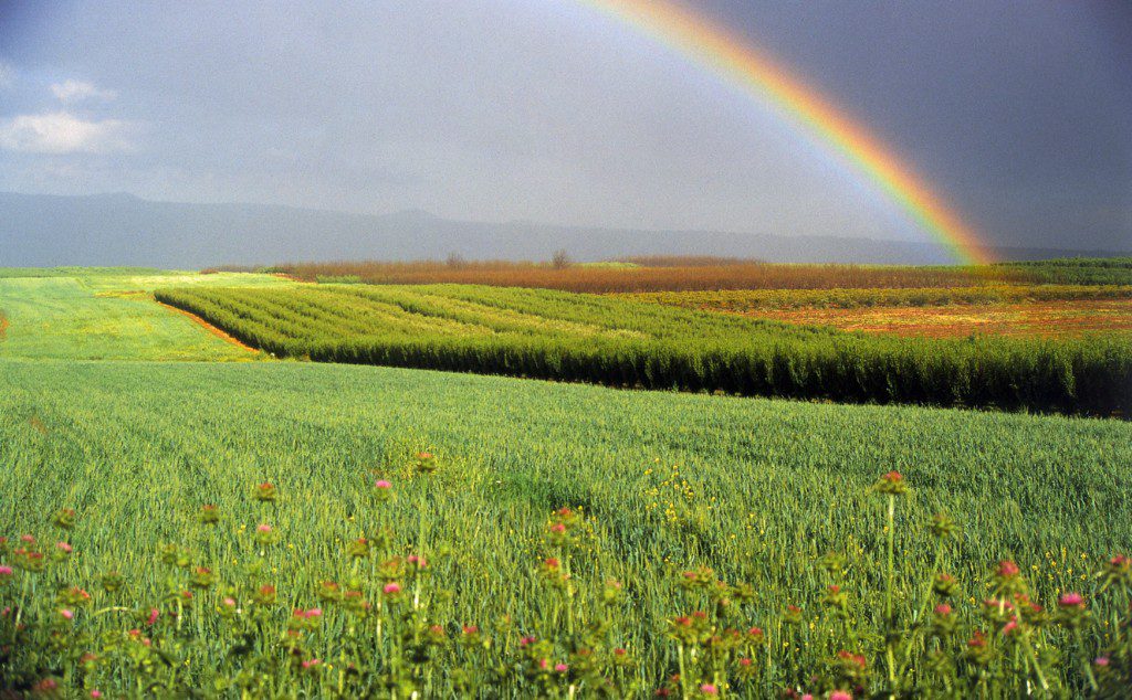 סרטונים by Asaf Suliman - Illustrated by אסף סולימן - Ourboox.com