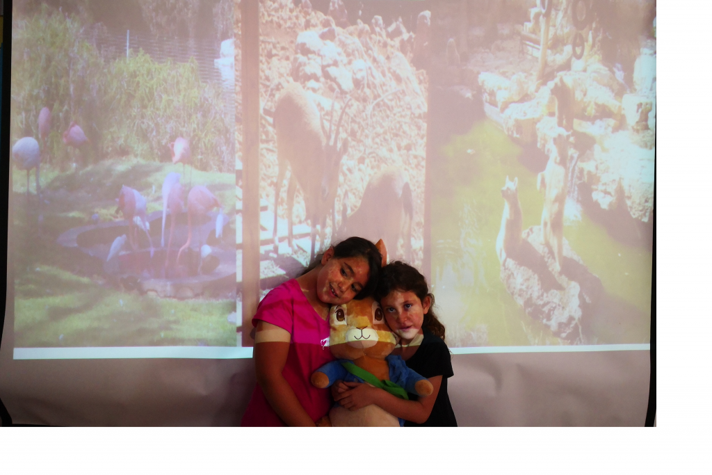 מכתבים מפליקס by Maayan Menashe - Illustrated by מרחב לשם א-3 - Ourboox.com