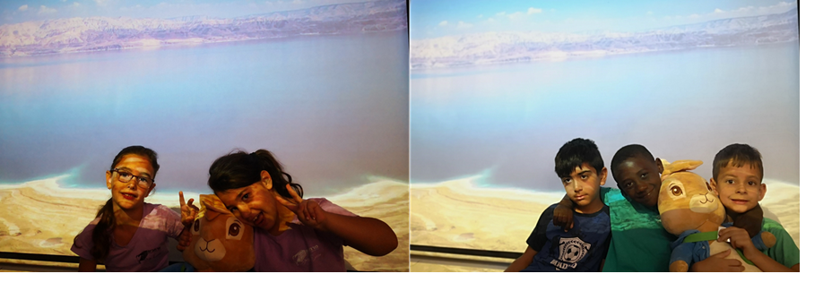 מכתבים מפליקס by Maayan Menashe - Illustrated by מרחב לשם א-3 - Ourboox.com