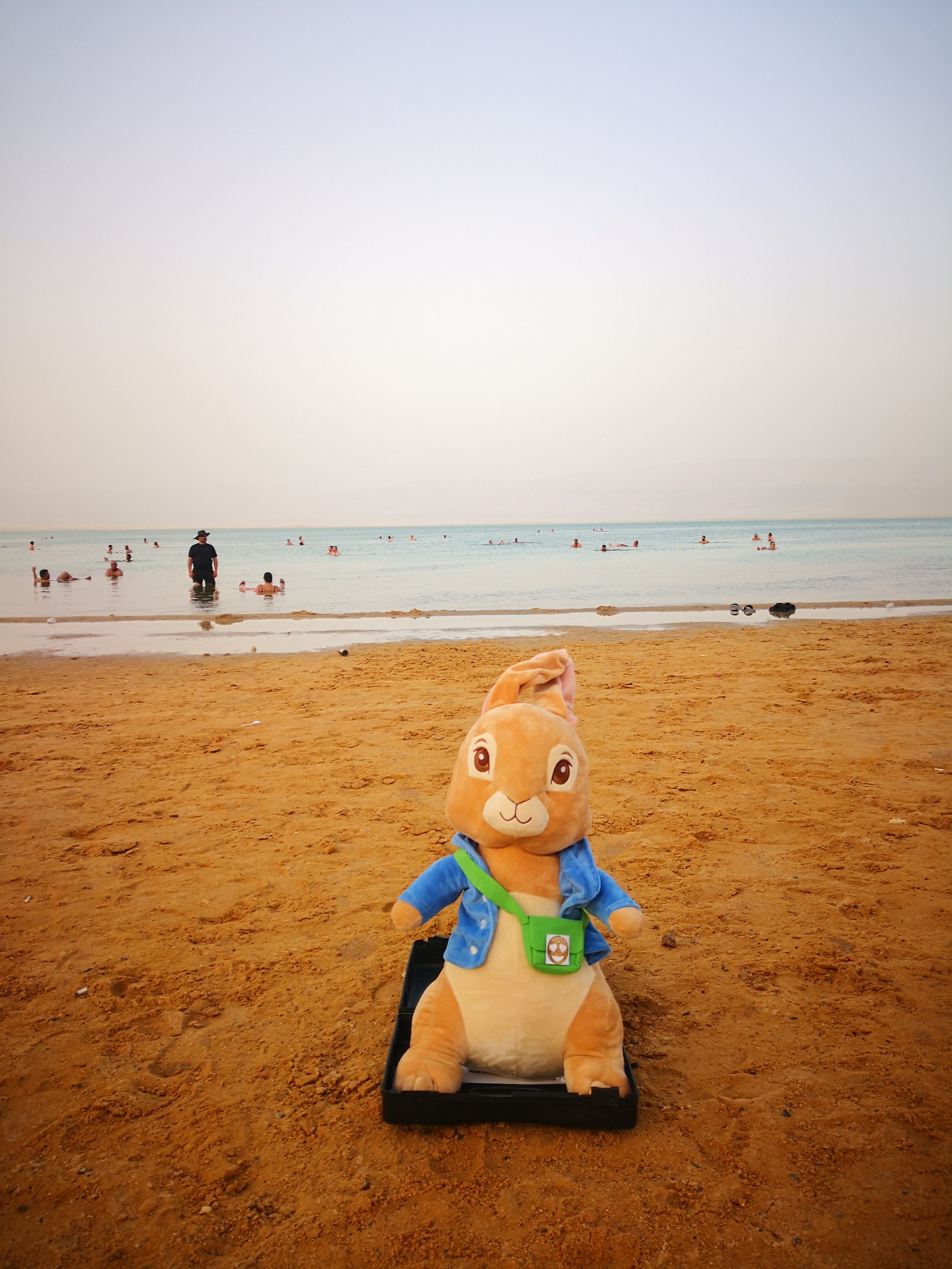 מכתבים מפליקס by Maayan Menashe - Illustrated by מרחב לשם א-3 - Ourboox.com