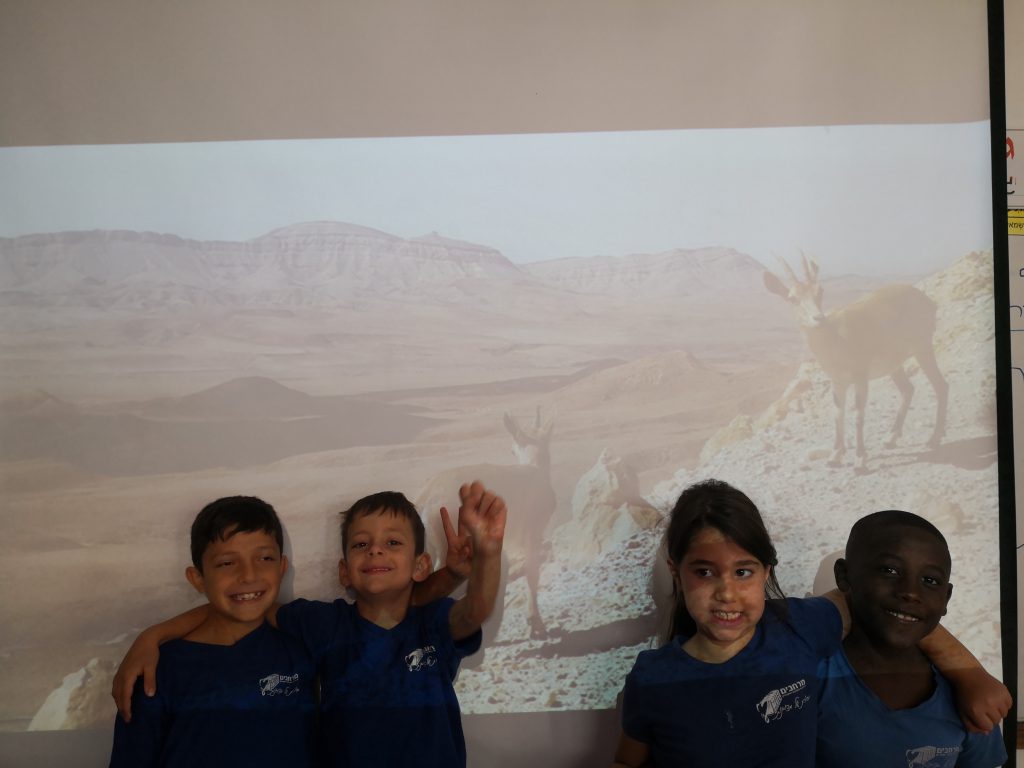 מכתבים מפליקס by Maayan Menashe - Illustrated by מרחב לשם א-3 - Ourboox.com